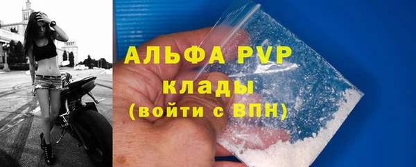 spice Аркадак