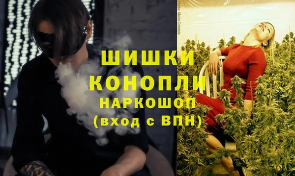 apvp Арсеньев