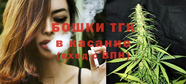 spice Аркадак