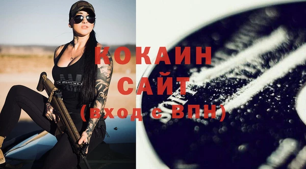 винт Няндома